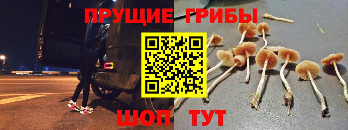 Галлюциногенные грибы GOLDEN TEACHER Полысаево