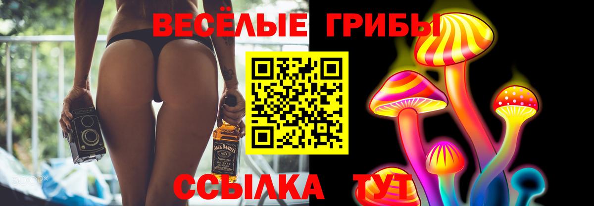 Псилоцибиновые грибы GOLDEN TEACHER  Псилоцибиновые грибы Psilocybe  Вход с VPN  магазин продажи наркотиков  Полысаево 